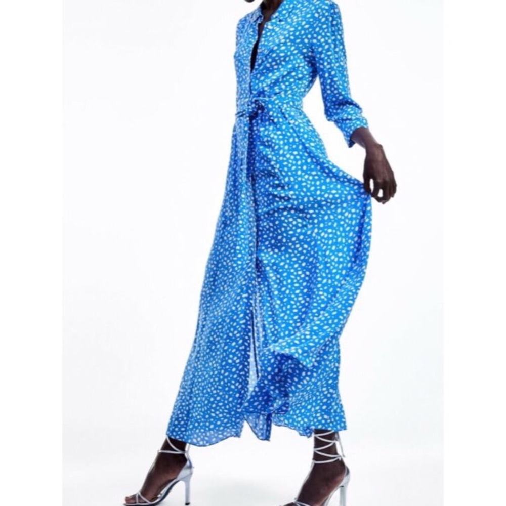 Zara Long Printed Dress